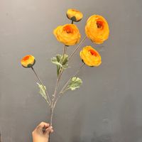 C648 5 kepala Ranunculus bunga buatan Lotus Rumah pernikahan properti fotografi Model ruang beranda dekorasi meja bunga