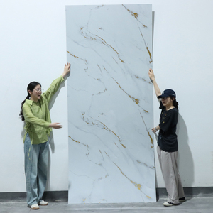 ديكورات منزلية ألواح جدارية PVC UV صديقة للبيئة من مصنع بجودة عالية لصفائح الرخام PVC المزخرفة الداخلية - Product Image 3