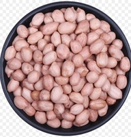 Arachides blanchies séchées de qualité supérieure, grade 3A, origine Chine, qualité d'exportation, grandes quantités, prêtes à consommer, fraîches et nutritives