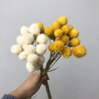 Grosir Bunga Buah Stroberi Kering Awet Bunga untuk Dekorasi Rumah/Pernikahan Bunga