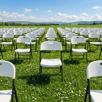 Chaises de jardin pliantes en plastique léger - Design moderne pour une utilisation en extérieur