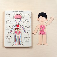 Juguete de anatomía Montessori para niños, rompecabezas educativo de órganos internos con capas, para preescolar