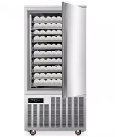 Congélateur à choc commercial de petite taille -45°C ° Armoire de congélation rapide pour la conservation des aliments surgelés et des boulettes de fruits de mer