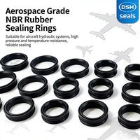 Joints d'étanchéité pour fenêtres d'avion DSH OEM - Profilés en caoutchouc EPDM durables, joints de pression pour cabine, joints en caoutchouc moulés sur mesure, joints toriques aérospatiaux