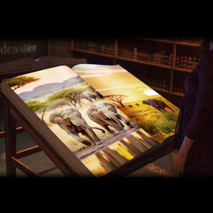 Imágenes HD portátiles 3D <span class=keywords><strong>Virtual</strong></span> Flip EBook Programa de proyección Proyector de libros interactivos <span class=keywords><strong>Biblioteca</strong></span> de museo de contenido múltiple - Product Image 3