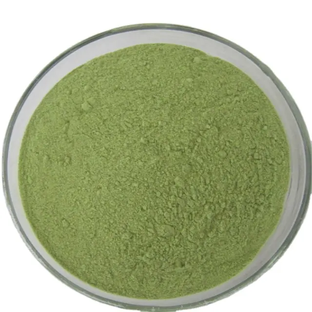 GMP High Quality standard Natural Vegetable Powder Spinach Extract Spinach Powder