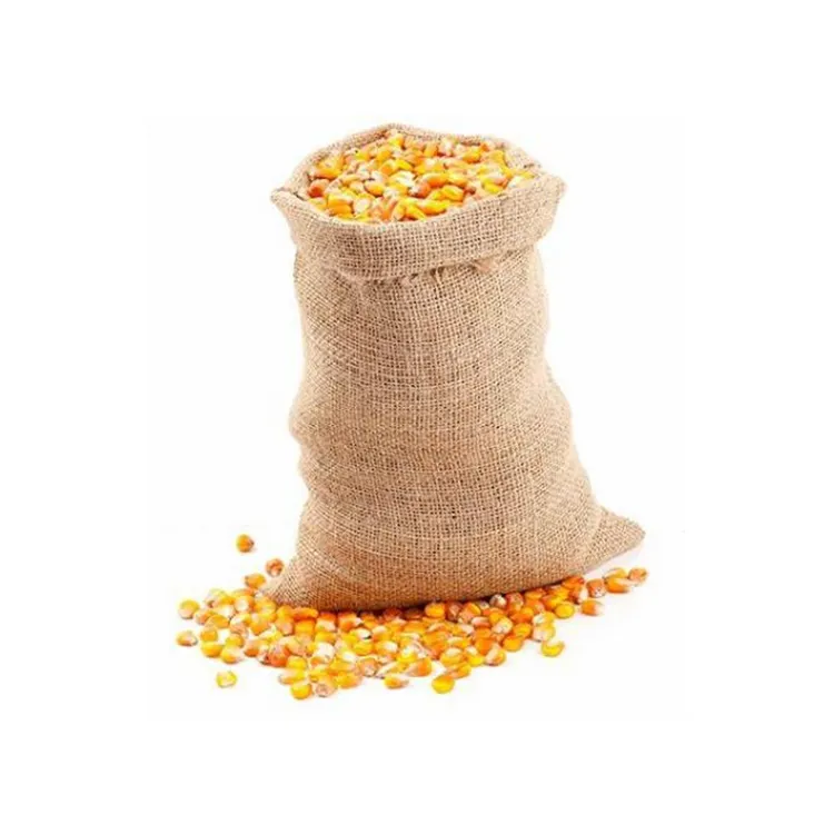 Jagung jagung kuning tanaman baru pasak untuk pakan manusia dan hewan jagung kuning tingkat konsumsi untuk pakan unggas