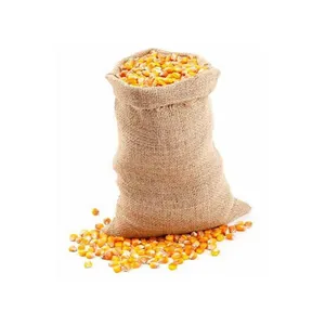 Novo culpado amarelo maize para o consumo de grau alimentador humano e animal milho amarelo para alimentação de aves