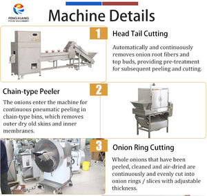 Línea de Procesamiento Industrial de Cebollas, Máquina para Cortar la Cabeza y la Cola de la Cebolla, Pelar la Piel y Cortar en Anillos - Product Image 5