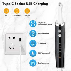 Machine à polir les dents à usage domestique, polisseur électrique portable rechargeable avec 3 pâtes, 5 têtes de brosse, composants en plastique - Product Image 4