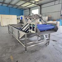 Commerciële fruit- en groentewasmachine met bubbels, productielijn voor de verwerking van diepvriesgroenten en -fruit