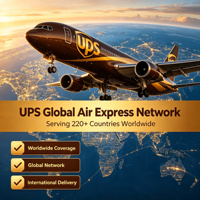 Livraison express mondiale porte-à-porte UPS, service complet et livraison sécurisée, agent logistique de dédouanement