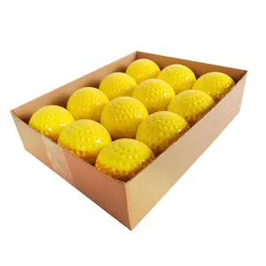 Lot de 12 balles alvéolées de 9/12 pouces en matériau PU Machine de tangage Cricket Beisbol Y Softbol Dimple Balls