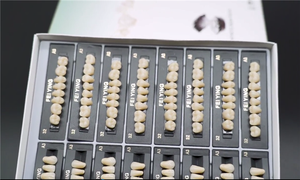 Dents artificielles en acrylique dentaire, prothèses dentaires pour laboratoire dentaire, fabrication de prothèses complètes et partielles - Product Image 5