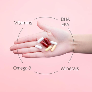 Friandises probiotiques et prébiotiques pour chiens, complément alimentaire biologique pour la santé digestive quotidienne, OEM/ODM - Product Image 4