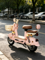 Vélo électrique 350W à moteur silencieux 48V avec moteur à moyeu arrière et freins à tambour avant/arrière pour les trajets quotidiens
