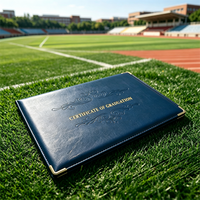 Couverture de certificat en cuir PU personnalisée avec logo en feuille d'or et texte personnalisé pour la remise des diplômes universitaires et scolaires