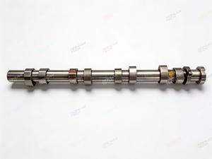 Arbre à cames XS6E6250AB XS6E-6250-AB pour Ford Fiesta Ka <span class=keywords><strong>EcoSport</strong></span> Escort Focus 1.0L 1.6L Zetec Rocam SOHC 8V - Product Image 2