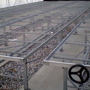 Hot Sale Small Iron Greenhouse <strong>Rolling</strong> Benches Removable Galvanized Seedbed <strong>Wire</strong> Mesh for Seedling - Product Image 3