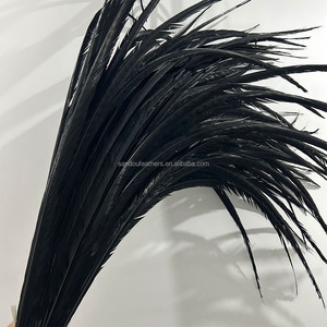 Plumes de faisan de carnaval noires longues teintes, plumes de queue de faisan Reeves pour costumes de festival de carnaval époustouflants - Product Image 1