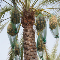 Fruitboom Bescherm Mono Mesh Net Groene Pe Dadelzak Palm Dadelzak Voor Dadels Vruchtbedekking