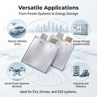 Sel Baterai Li Polymer SK 3.7V 60Ah Ncm Pouch Cell Densitas Energi Tinggi 1500 Siklus untuk Kendaraan Listrik, Sepeda Listrik, Skuter, dan Drone