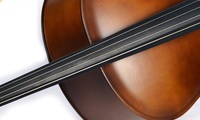 New Trend Adult Beginner Evaluation Practice Basswood Matte Cello