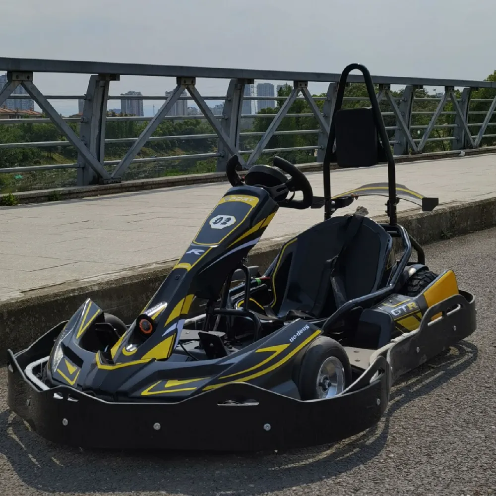Karting Electric Go Kart Auto Go Cart Racing Go Karts Voor Volwassenen Kinderen Elektrische Go Kart Go Karts Voor Kinderen