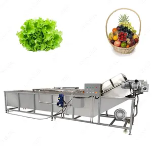 Industrial Fruit and Vegetable Washing Drying Machine for Sale