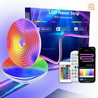 TTLL Neon Flex 02 Bande LED néon RGB étanche IP65 24V DC en silicone flexible avec garantie de 5 ans, intensité variable pour chambre à coucher