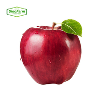 Apple merah segar kelas atas harga bagus Apple merah paling populer buah apel merah segar apel lezat
