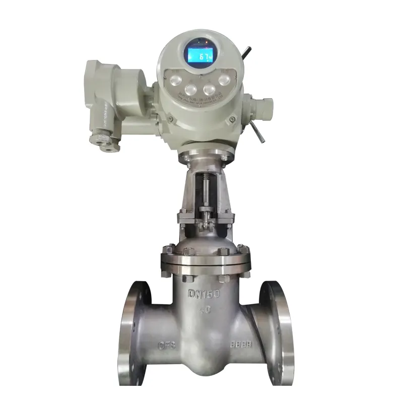 6 inch ANSI Class 150 Rising Stem CF8M Stainless Steel Flanged Gate Valve