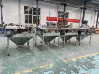 Silo Tramoggia DZJX Industriale in Acciaio Inox 304 per lo Stoccaggio di Caffè, Mais, e Cereali in Polvere con Nastro Trasportatore di Carico