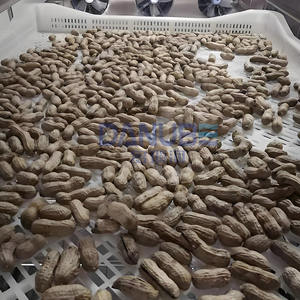 Secadora Multifuncional OEM para el Procesamiento de Frijoles Negros Fermentados, Secadora Automática Inteligente para Frijoles Negros Fermentados - Product Image 3