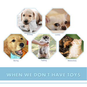 Wholesale Bite-resistant Safety TPR Pet Chew Toy for Dogs Play Colorful Funny Pet Interactive Teeth and Grinding Training Toys - Product Image 4