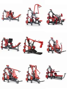 Selling Back Machines Panatta Seated High Pull Back Trainer Plate Loaded Best Quality China Manufacturer