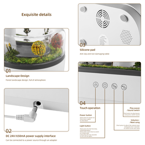 Regenwasser Duft Ent fetter Smart Cool Mist Weißes Rauschen Mini Pflanzen landschaft Regentropfen Luftbe feuchter <span class=keywords><strong>Aroma</strong></span> diffusor - Product Image 6