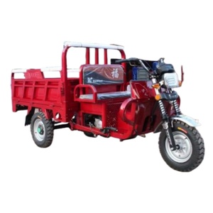 Triciclo de 200cc Más Vendido, Carro de Tres Ruedas con Carrocería Abierta/Cerrada para 2 Pasajeros - Product Image 1