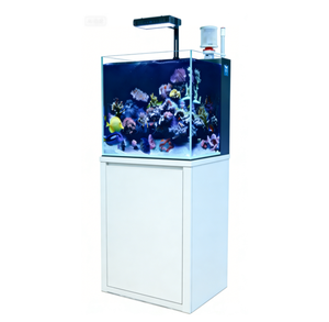 <span class=keywords><strong>Aquarium</strong></span> miniature pour <span class=keywords><strong>eau</strong></span> <span class=keywords><strong>de</strong></span> <span class=keywords><strong>mer</strong></span> avec cabinet en alliage d'aluminium, réservoir carré 35*35*35cm 40*40*40cm 50*50*50cm - Product Image 1