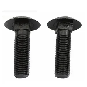 M6 M8 M12 M16 M24 Galvanized Steel Black Oxide Black Zinc Plated Stainless Steel Black Electrophoresis Carriage Bolt DIN603