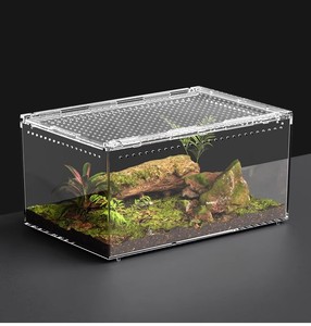 Terrario Rectangular de Acrílico de Alta Transparencia para Lagartos y Geckos, Ambiente Ecológico con Temática Desértica, Hábitat para Serpientes, Rana Arbórea - Product Image 6