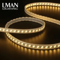 Liste de prix d'usine IP65 étanche 120LEDs/M bandes lumineuses intelligentes extérieures 110V 220V SMD 5730 110V 220V SMD 5730 110V 220V SMD 5730