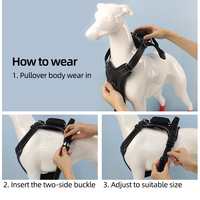 Harnais de luxe pour chien certifié BSCI, personnalisé, lumineux dans le noir, grand, réglable, rechargeable, réfléchissant, LED RGB, gilet pour animaux de compagnie