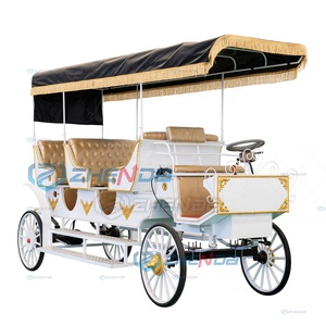 Transport spécial pour le tourisme et les visites touristiques, calèche - Product Image 2