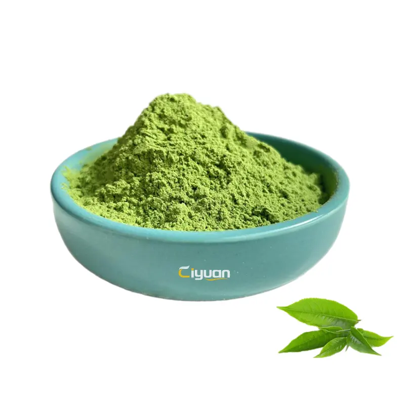 Ciyuan Factory Supply Green Tea Matcha Powder