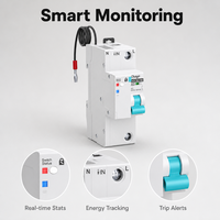 Disjoncteur Wi-Fi 1P sur rail DIN en cuivre 145-230V MCB 63A avec mesure, minuterie, télécommande, reconnexion automatique 10kA, certifié CE