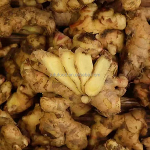 Jengibre Fresco Joven de Alta Calidad, Orgánico, Amarillo Brillante, 100g-300g, <span class=keywords><strong>Alimento</strong></span> Natural Puro Cultivado en Granja, Exportación Directa de China - Product Image 1
