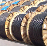 Cable de Alimentación Armado con Cinta de Acero, Aislado con XLPE, Núcleo de Cobre YJVP2, Revestimiento de PVC