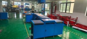 Automatische Paketprüfwaage Statisches DWS-Maschinensystem mit 10 kW Motorleistung Barcode-Förderband - Product Image 4