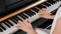 Factory Solid Wood Upright Digital Piano 88 Keys Professional Heavy Weight Keyboard Music Instrument China